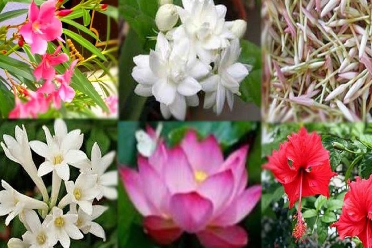  சித்திரை மாதத்தில் சிவ வழிபாடு செய்யும்போது, பலாசம் எனும் ஒருவகை மலரைக் கொண்டு அர்ச்சித்து வழிபடுவது குடும்பத்தில் ஒற்றுமையையும் நிம்மதியையும் கொடுக்கவல்லது என்பார்கள். வைகாசி மாதத்தில் புன்னையும் ஆனி மாதத்தில் வெள்ளெருக்கும் கொண்டு அர்ச்சித்து வழிபட்டால் எதிர்ப்புகள் அகலும். ஆடி மாதத்தில் அரளி சார்த்தி, சிவனை வழிபடுவது சிறப்புக்கு உரியது. ஆவணி மாதத்தில் செண்பக மலர்கள் கொண்டு அர்ச்சிப்பதும் அலங்கரிப்பதும் கடன் தொல்லையில் இருந்து நம்மை மீட்டெடுக்கும் என்பது ஐதீகம்.