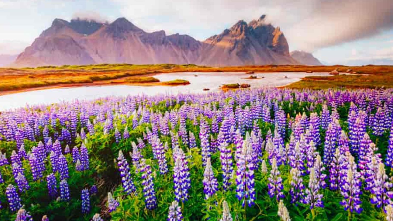 இந்தியாவிலேயே வெளிநாடுகளை போன்ற வித்தியாசமான இடங்கள் இவ்வளவு இருக்கா... லிஸ்ட் இதோ...!