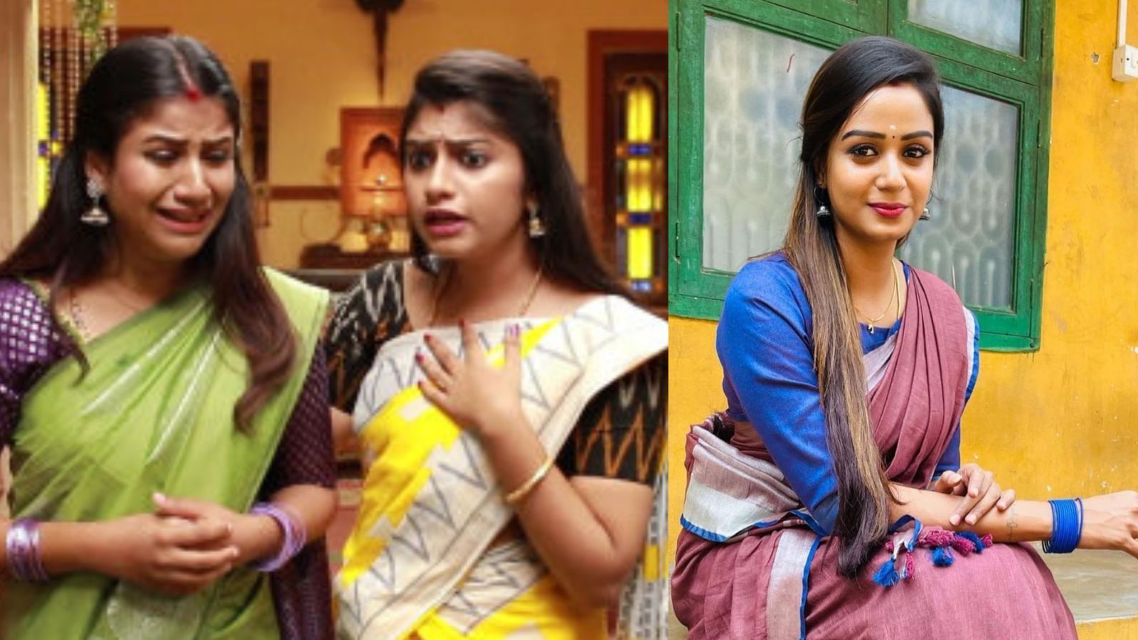 ஆல்யா, அர்ச்சனா, ரியா வரிசையில் ராஜா ராணி 2 சீரியலை விட்டு விலகிய மேலும் ஒரு பிரபலம்