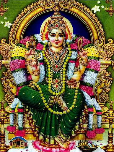   மாவட்டம், இருக்கன்குடி அருள்மிகு மாரியம்மன் திருக்கோயில் தென் தமிழ்நாட்டில் மிகவும் பிரசித்திபெற்ற பிரார்த்தனை ஸ்தலமாகும். சுமார் 450 வருடங்கள் பழமையான வரலாறு கொண்ட இத்திருக்கோயில் மூலவராக அருள்மிகு மாரியம்மன் திகழ்கிறார்.