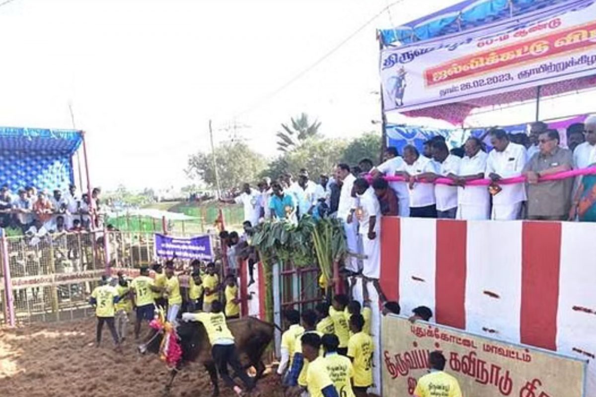 அதிவேகம்.. கண்மாயில் பாய்ந்து நீரில் மூழ்கி பலியான காளை.. !