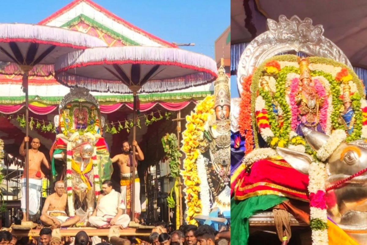 ஏலக்காய்