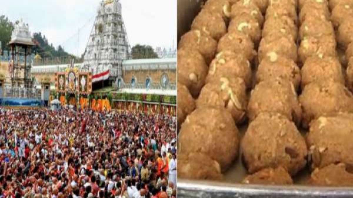  திருப்பதியில் 3 வகையான லட்டுகள் செய்யப்படுகின்றன. ஆஸ்தான லட்டு, கல்யாண உற்சவ லட்டு, புரோகிதம் லட்டு என்ற 3 வகையான லட்டுகள் தயாரிக்கப்படுகிறது.