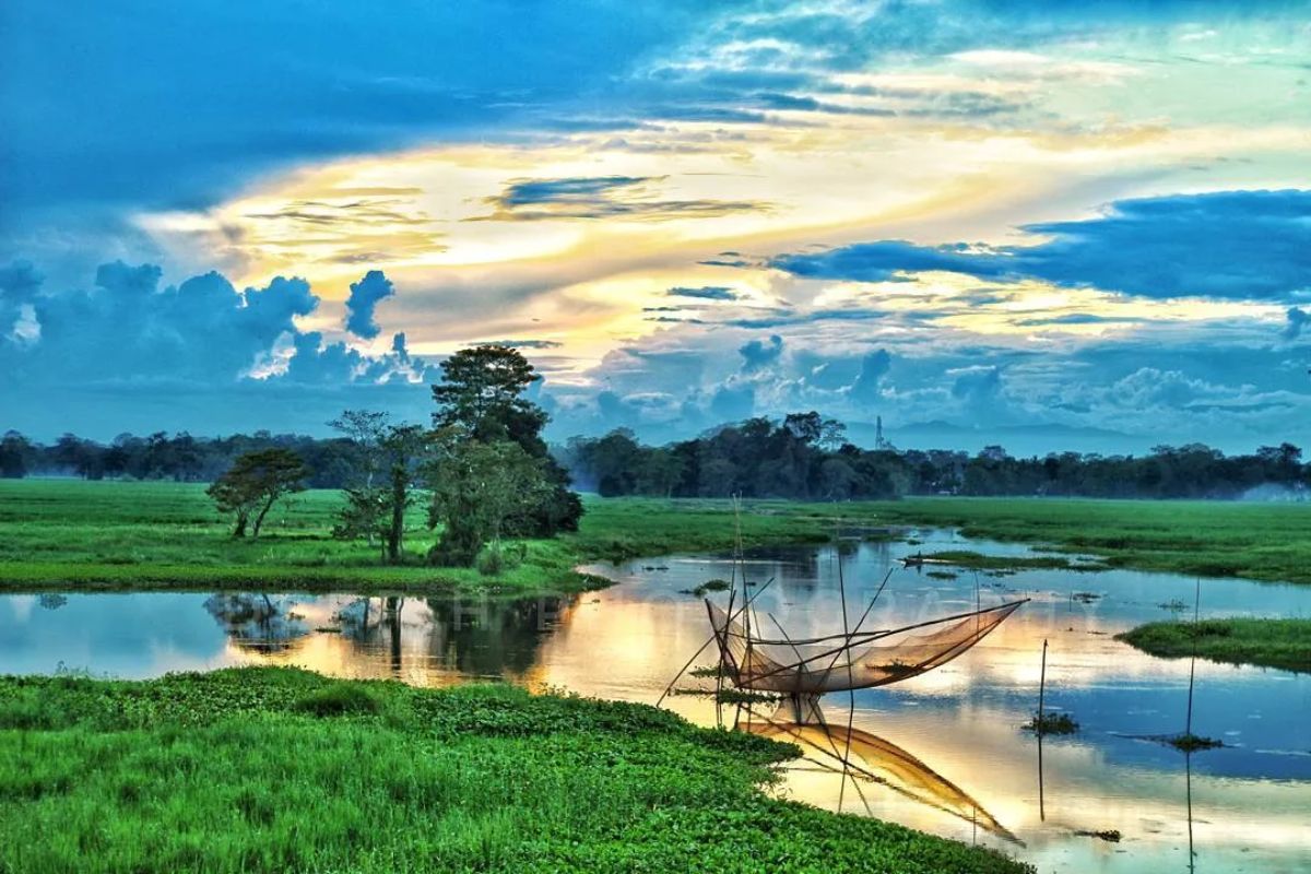  அசாம் மாநிலத்தில் பிரம்மபுத்ரா நதிக்கு நடுவில் மஜூலி என்ற தீவு உள்ளது. கடலுக்கு நடுவில் தீவை பார்த்திருப்போம். நதிக்கு நடுவில் உள்ள தீவை பார்ப்பது அரிது. அப்படியான மஜூலி தீவு பசுமை போர்த்தி அழகாக காட்சியளிக்கும். படகின் மூலம் தீவிற்கு சென்று அதன் அழகை நாள் முழுக்க ரசிக்கலாம்.