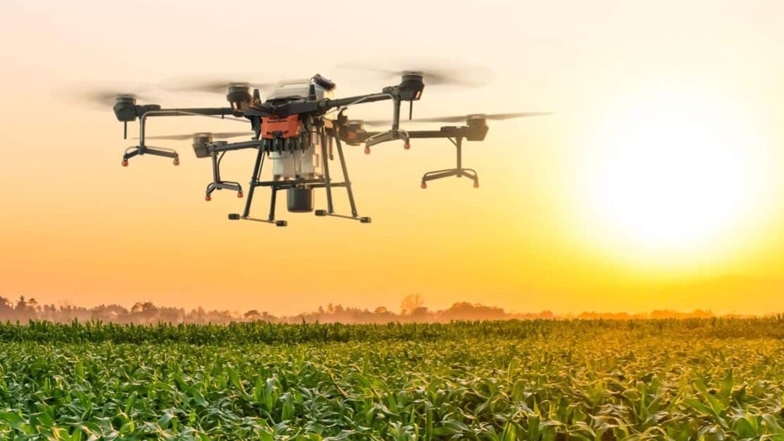 மதுரையில் இலவச ட்ரோன் பயிற்சி - முழு விவரம்..