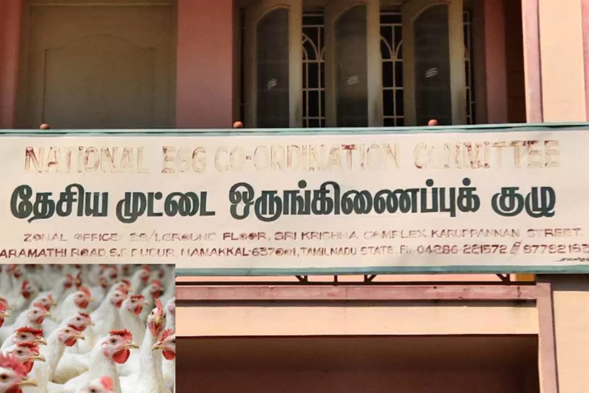 தேசிய முட்டை ஒருங்கிணைப்பு குழு