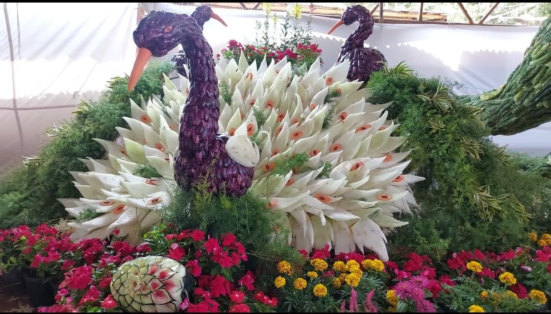  மேலும் பார்வையாளர்கள் கண்காட்சியை ரசித்ததுடன் சுற்றுலாப் பயணிகள், போட்டோ, எடுத்தும் செல்பி எடுத்தும் மகிழ்ந்தனர்.
