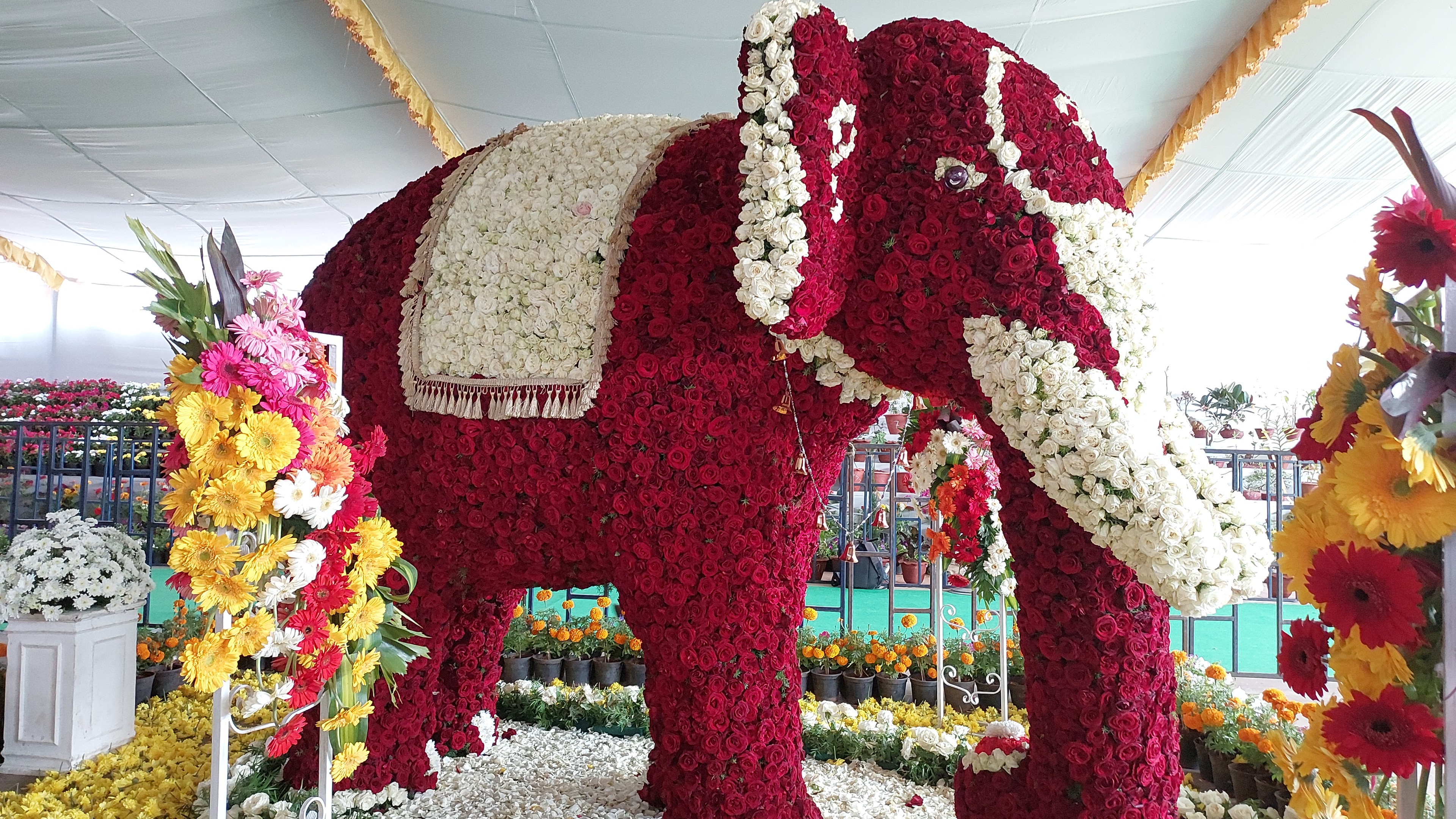  இதனை துணைநிலை ஆளுநர், முதலமைச்சர், வேளாண் துறை அமைச்சர் ஆகியோர் தொடங்கி வைத்தனர்.