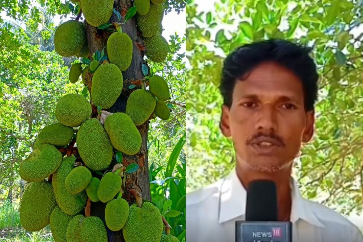 புதுக்கோட்டை