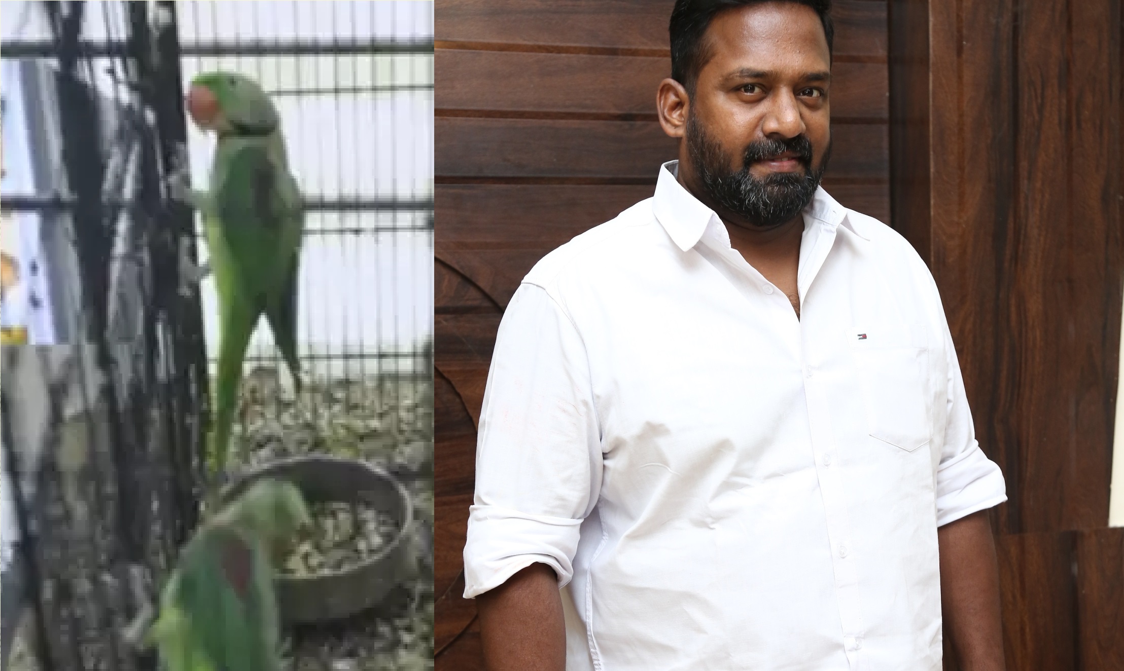  யூடியூபில் பதிவிட்ட வீடியோவில் கிளிகள் தொடர்பாக தகவல் வெளியானதால் இது குறித்து வனத்துறைக்கு யாரோ புகாரளித்துள்ளனர். அதன்படியே தற்போது அதிகாரிகள் நடவடிக்கை எடுத்துள்ளதாக கூறப்படுகிறது