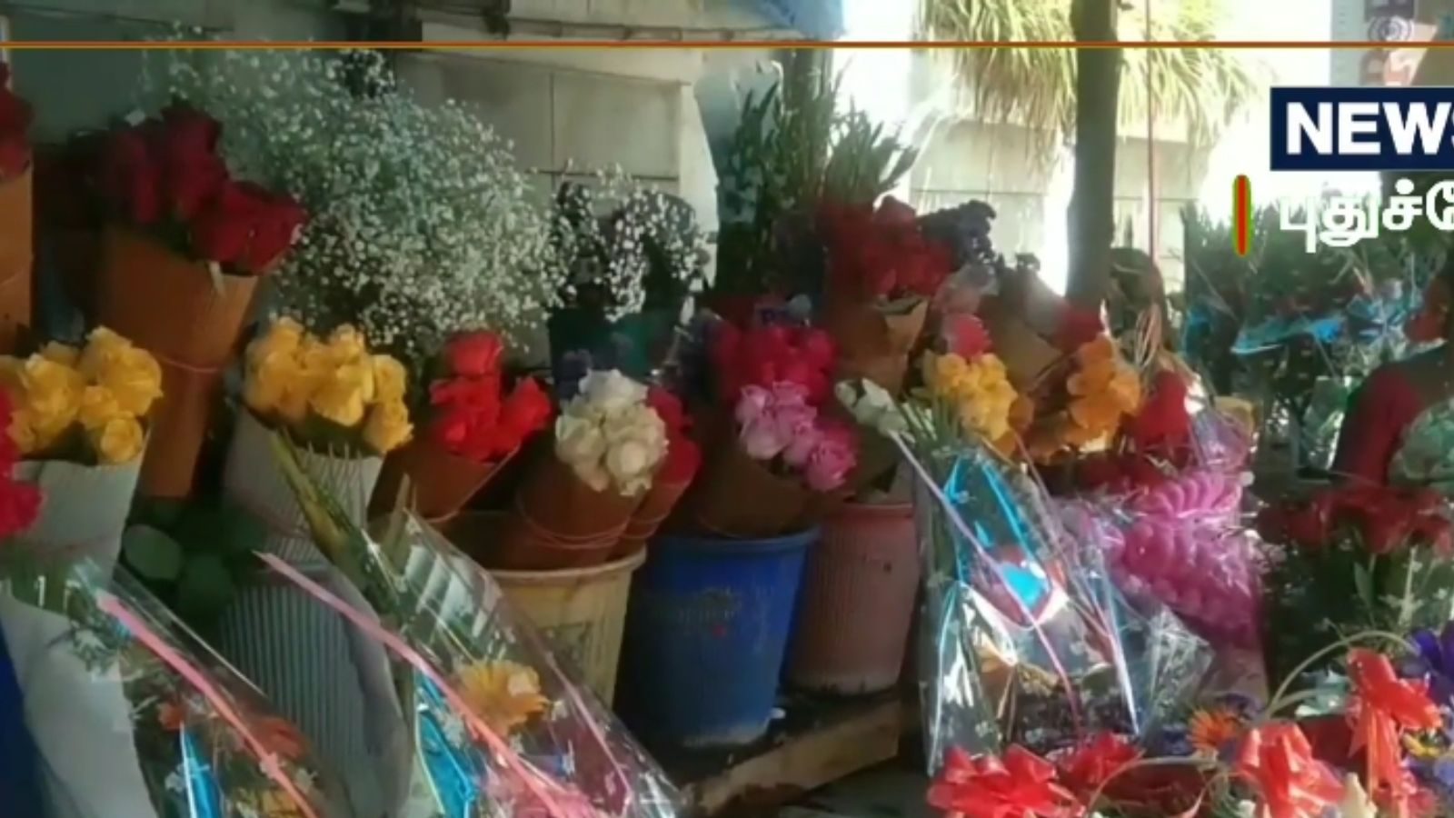 விலை ரூ.550.. காதலர் தினத்தால் எகிறிய ரோஜாக்களின் ரேட்.. ஷாக்கான காதலர்கள்!