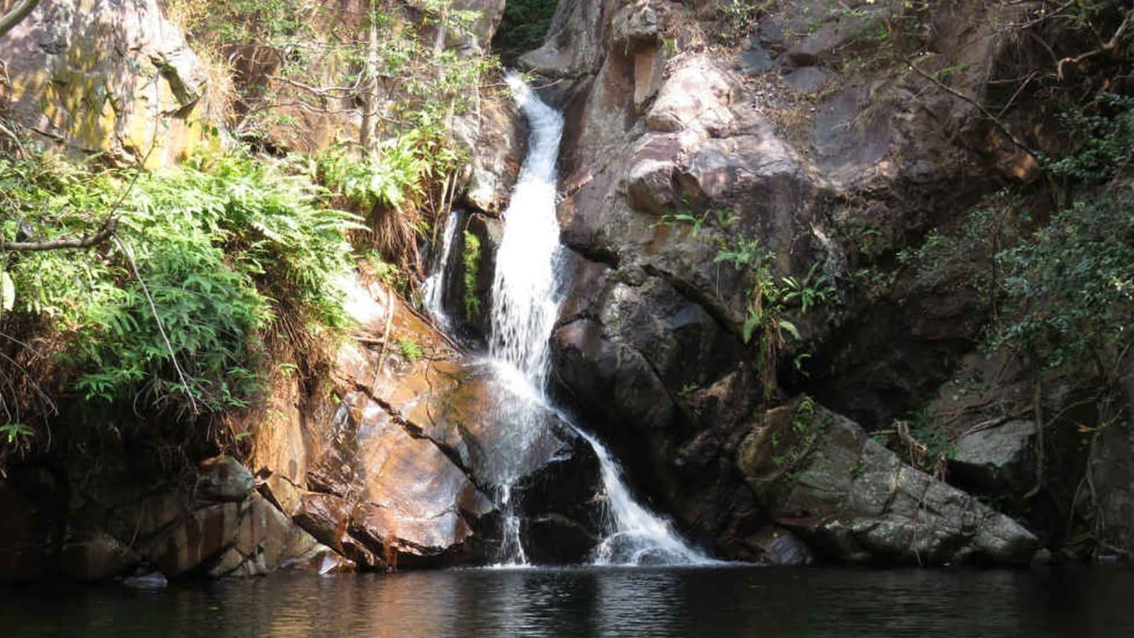 சென்னைக்கு அருகில் மீண்டும் திறக்கப்பட்ட நாகலாபுரம் நீர்வீழ்ச்சி... இந்த வார இறுதிக்கான ஸ்பாட் ரெடி!
