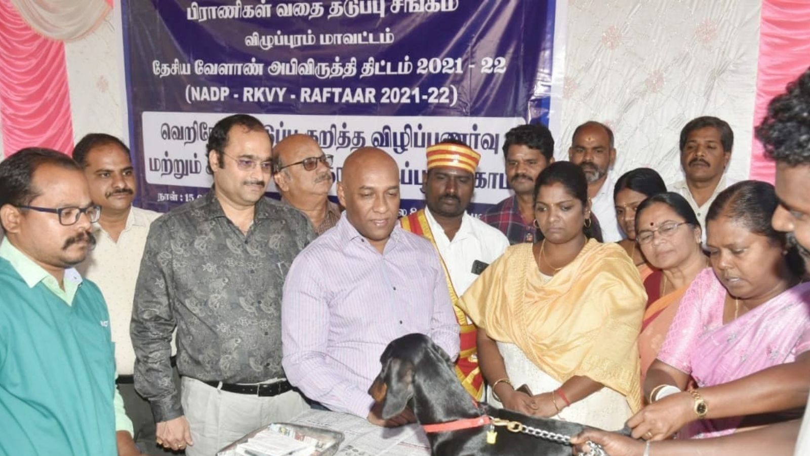 விழுப்புரத்தில் செல்லப் பிராணிகளுக்கான இலவச வெறிநோய் தடுப்பூசி முகாம்! மறக்காம போங்க!