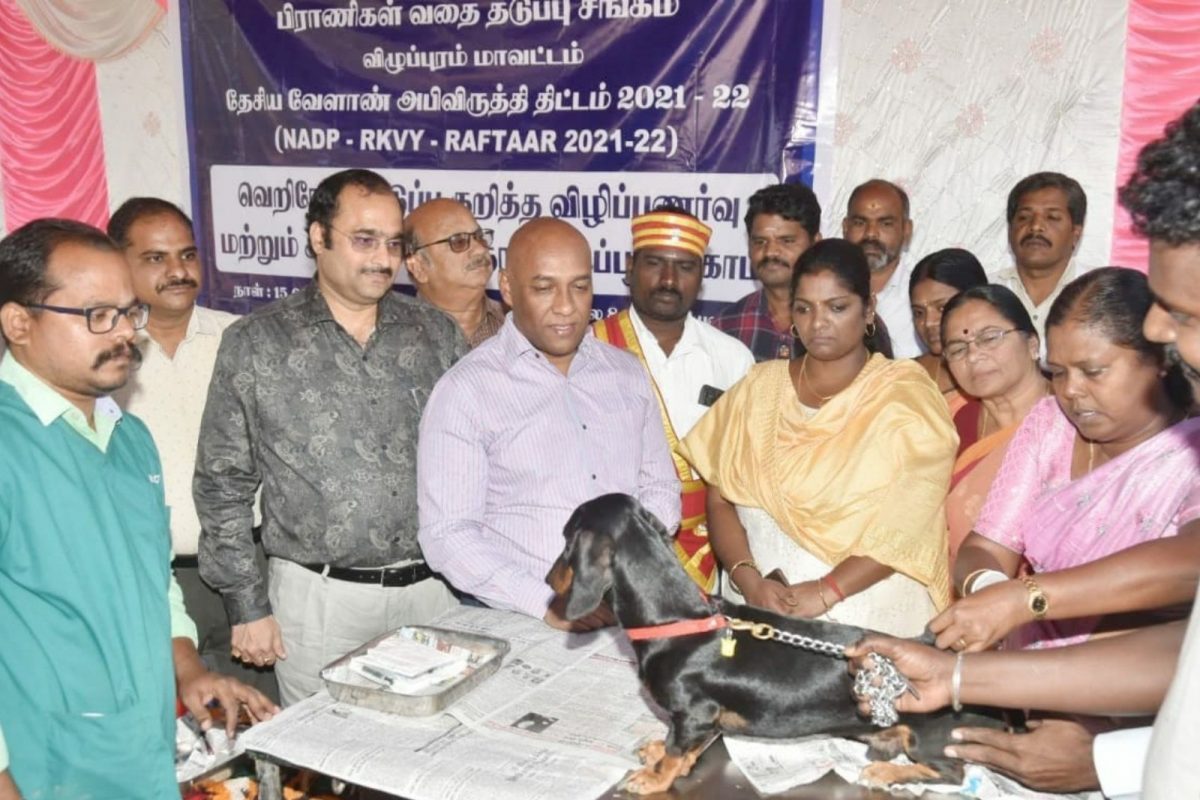 செல்லப் பிராணிகளுக்கான இலவச வெறிநோய் தடுப்பூசி முகாம்!