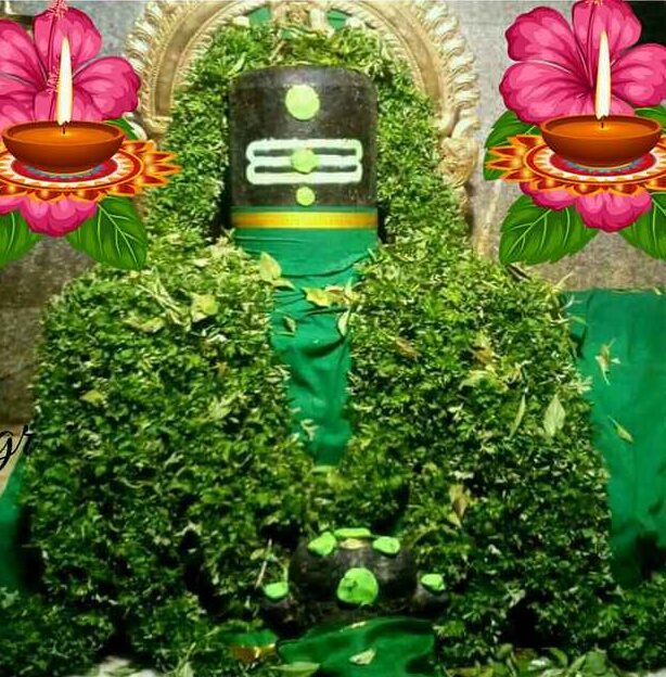  சிவராத்திரிக்கு முன் கனவில் வில்வ இலைகளையும், வில்வ மரத்தையும் கண்டால், நிதி பிரச்சனைகள் தீரும். அத்தகைய கனவு வந்தால், அனைத்து பிரச்சனைகளும் விரைவில் முடிவடையும் மற்றும் நிதி சிக்கல்கள் தீர்க்கப்படும்.