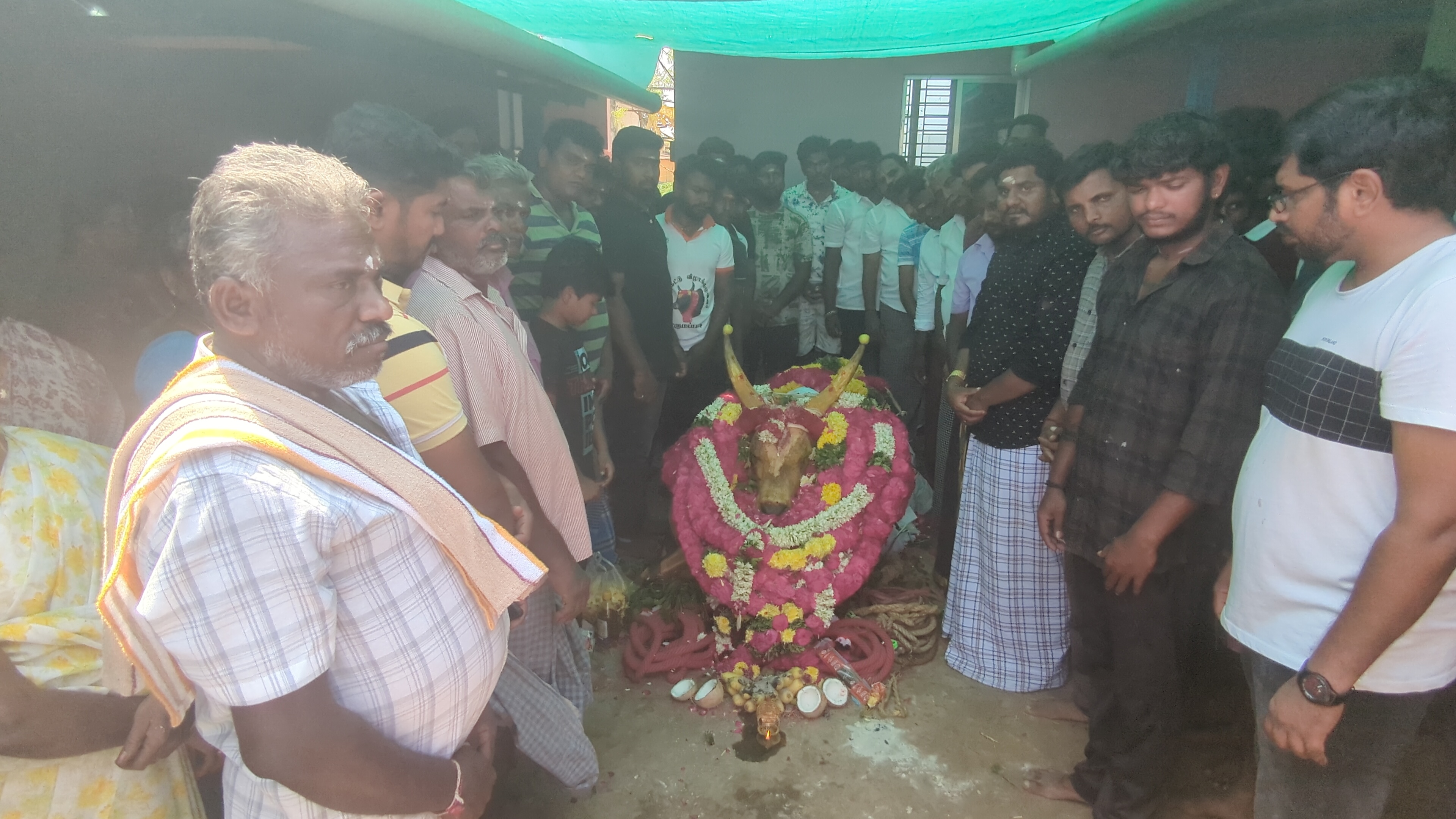   அடுத்த சாலப்பாளையம் பகுதியை சேர்ந்தவர் ராஜா. ஜல்லிக்கட்டு போட்டிகளில் மிகுந்த ஆர்வம் கொண்ட இவர் 11 ஜல்லிக்கட்டு காளைகளை வளர்த்து வந்ததுடன் அவற்றிற்கு பெயரிட்டு ஜல்லிக்கட்டு போட்டிகளில் பங்கேற்க வைத்து வருகிறார்.