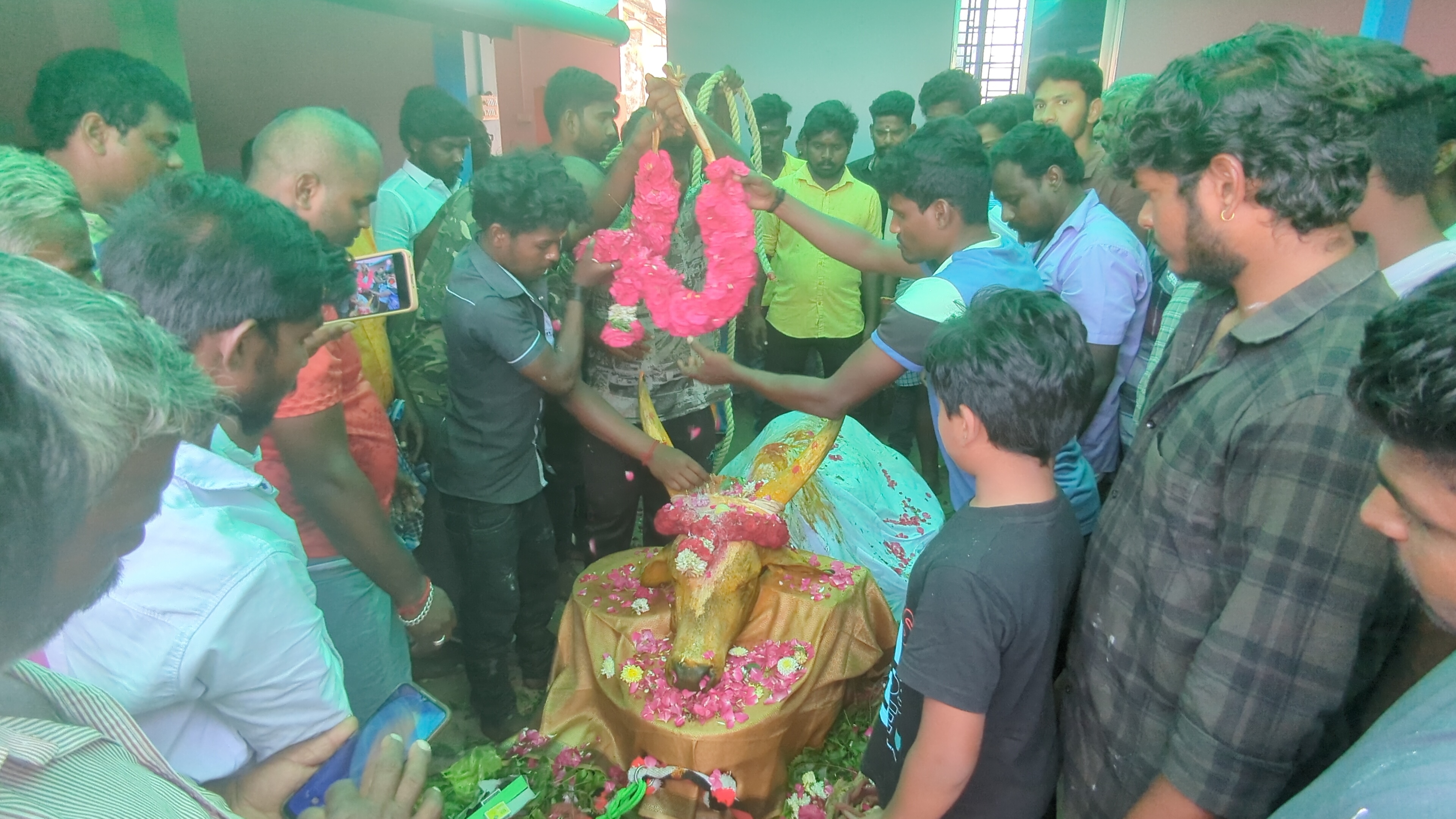  ஆசை ஆசையாய் வளர்த்து வந்த ஜல்லிக்கட்டு காளை உயிரிழந்த சம்பவம் உரிமையாளர் ராஜா மட்டுமின்றி அப்பகுதியினர் மத்தியிலும் பெரும் சோகத்தை ஏற்படுத்தியுள்ளது.