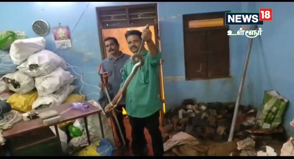மின்துறை