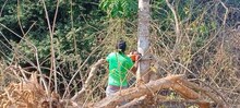 வளர்ச்சி பணிகள் என்ற பெயரில் ஆரோவில்லில் இயற்கை வளங்கள் அழிக்கப்படுவதாக  சமூக ஆர்வலர்கள் குற்றச்சாட்டு