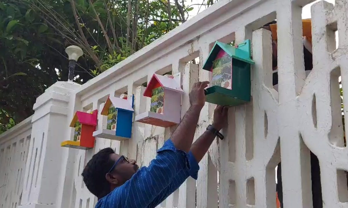 சிட்டுக்குருவிகளை