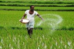 எதிர்பார்த்த  அம்சங்களும் வேளாண் பட்ஜெட்டில் இல்லை:திருச்சி விவசாயிகள்