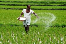”எதிர்பார்த்த எந்த அம்சங்களும் வேளாண் பட்ஜெட்டில் இல்லை” - திருச்சி விவசாயிகள் குற்றச்சாட்டு...