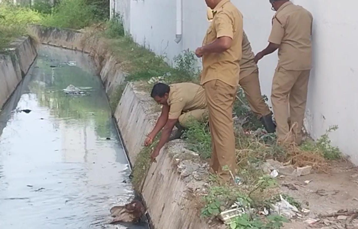 கழிவுநீர்