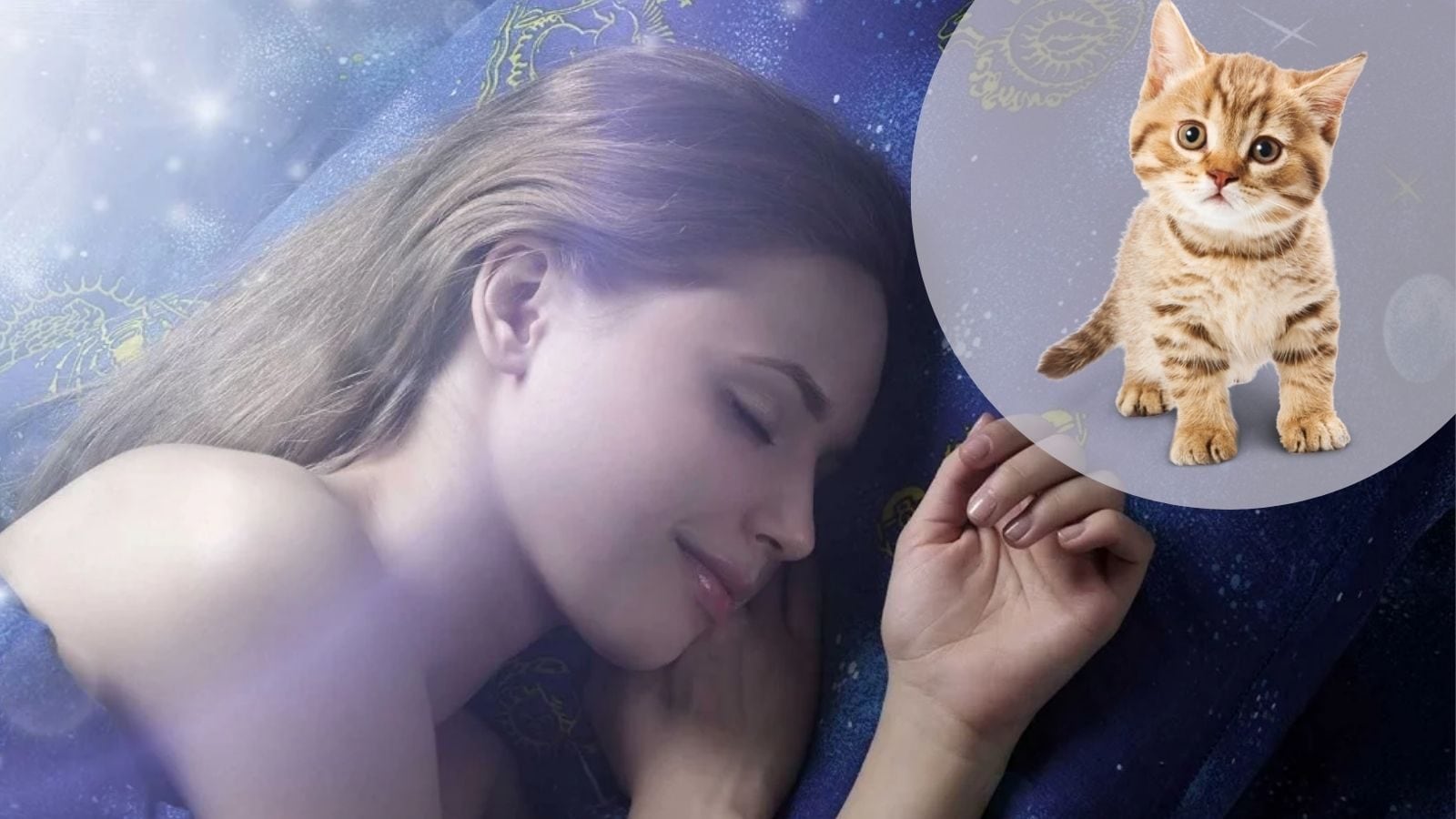 பூனை கனவில் வந்தால் என்ன அர்த்தம்...? ஜோதிடம் கூறுவது என்ன?