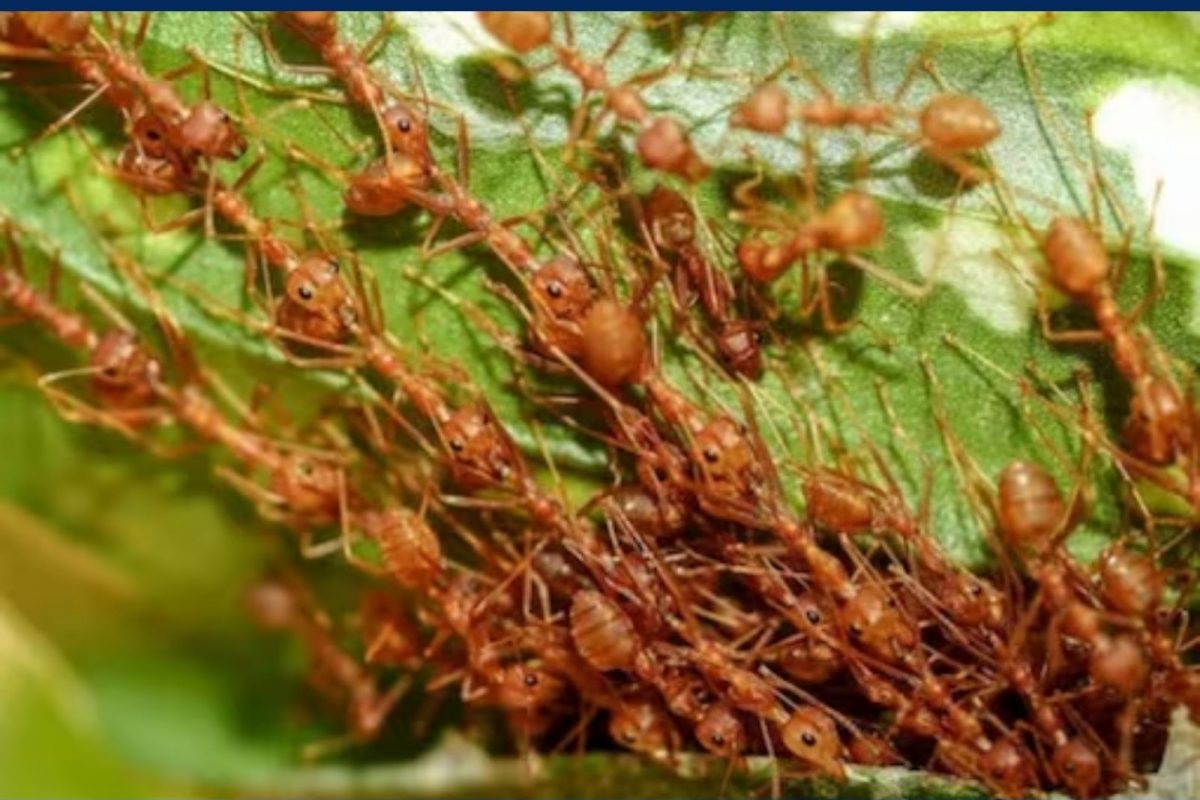 மாதிரி படம்