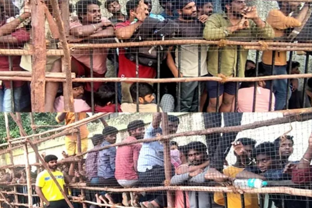 கிரிக்கெட் ரசிகர்கள்
