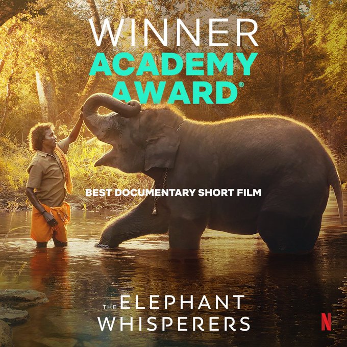The Elephant Whisperers Bomman shares his happiness over Oscar award, the elephant whisperers, the elephant whisperers oscar, the elephant whisperers oscar award, the elephant whisperers bomman, the elephant whisperers ott, the elephant whisperers bomman belli, the elephant whisperers bomman belli raghu, the elephant whisperers raghu elephant, தி எலிஃபண்ட் விஸ்பரர்ஸ், தி எலிஃபண்ட் விஸ்பரர்ஸ் ஆஸ்கர் விருது, தி எலிஃபண்ட் விஸ்பரர்ஸ் பொம்மன் பெள்ளி, தி எலிஃபண்ட் விஸ்பரர்ஸ் பொம்மன், தி எலிஃபண்ட் விஸ்பரர்ஸ் கார்த்திகி கான்சல்வேஸ், தி எலிஃபண்ட் விஸ்பரர்ஸ் பொம்மன் பெள்ளி ரகு, தி எலிஃபண்ட் விஸ்பரர்ஸ் ஆஸ்கர், the elephant whisperers Kartiki Gonsalves