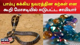 பாம்பு கக்கிய நவரத்தின கற்கள் என கூறி மோசடியில் ஈடுபட்ட சாமியார்..!