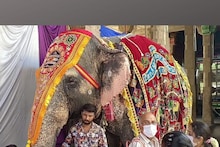 மதுரை மீனாட்சியம்மன் கோவில் யானைகளுக்கு நினைவு மண்டபம் - ஒப்பந்தபுள்ளி வெளியீடு
