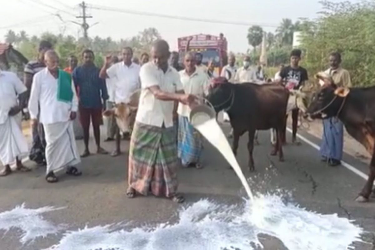 பாலை சாலையில் கொட்டி போராட்டம்