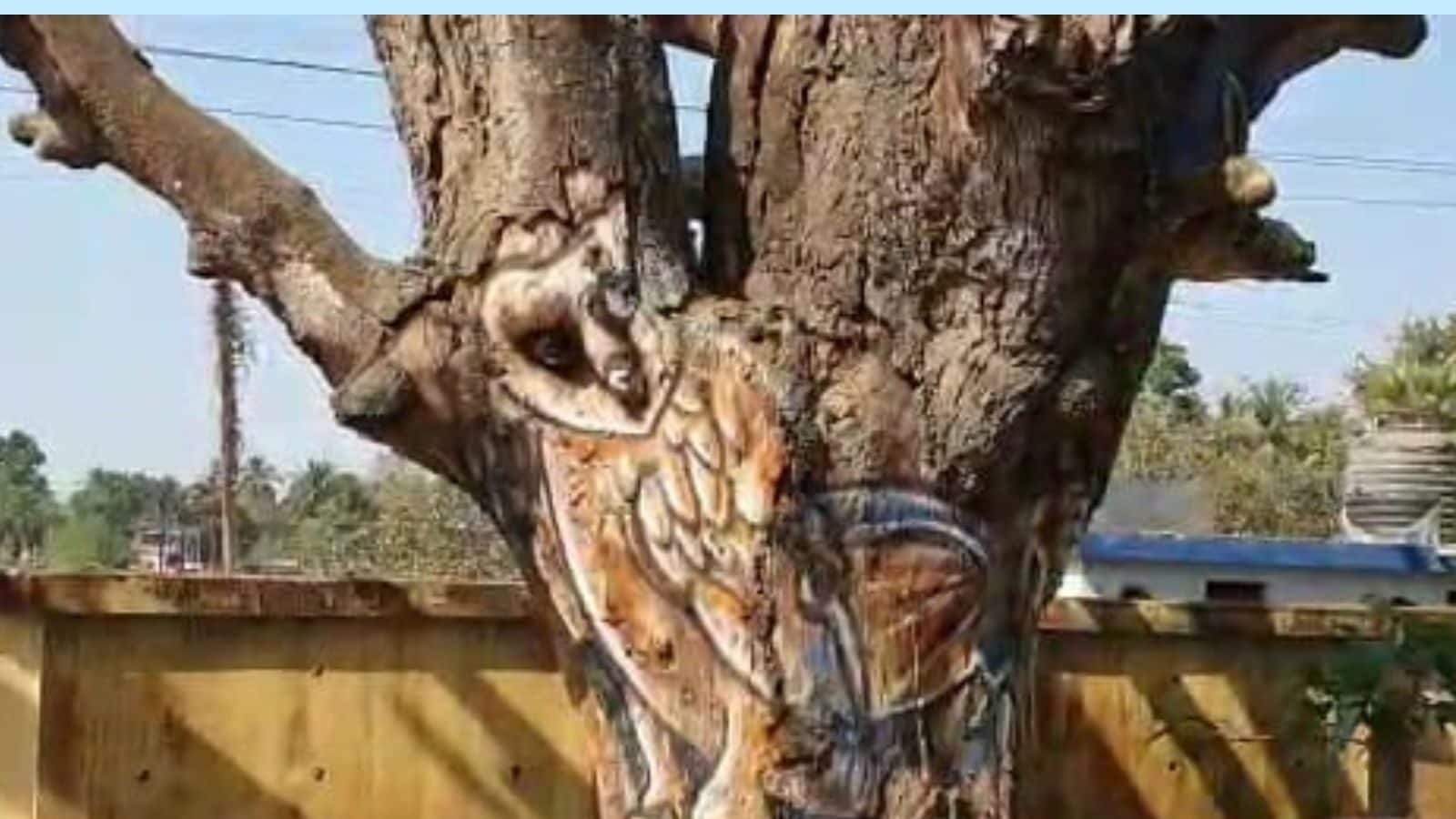 இயற்கையின் மீது தீராத காதல்..  மரங்களில் வண்ணம்தீட்டி மனங்களை வென்ற ஓவியர்..!