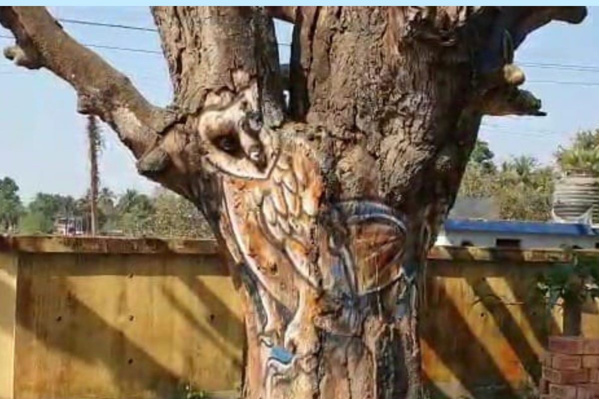 மரங்களில் ஓவியம்