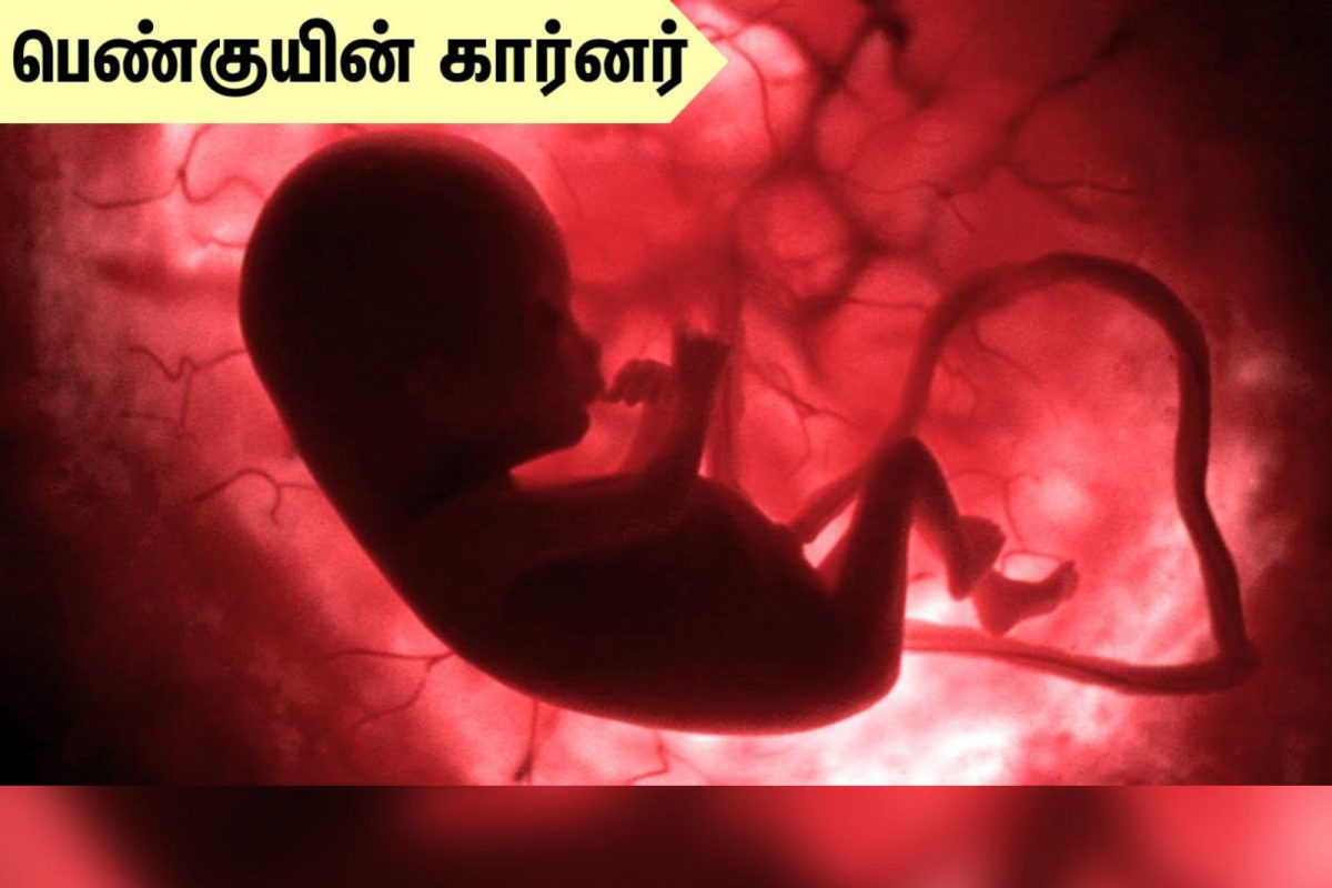 கர்ப்ப காலத்தின் முதல் மூன்று மாதத்தில் ரத்த கசிவு ஏற்பட காரணம் என்ன?