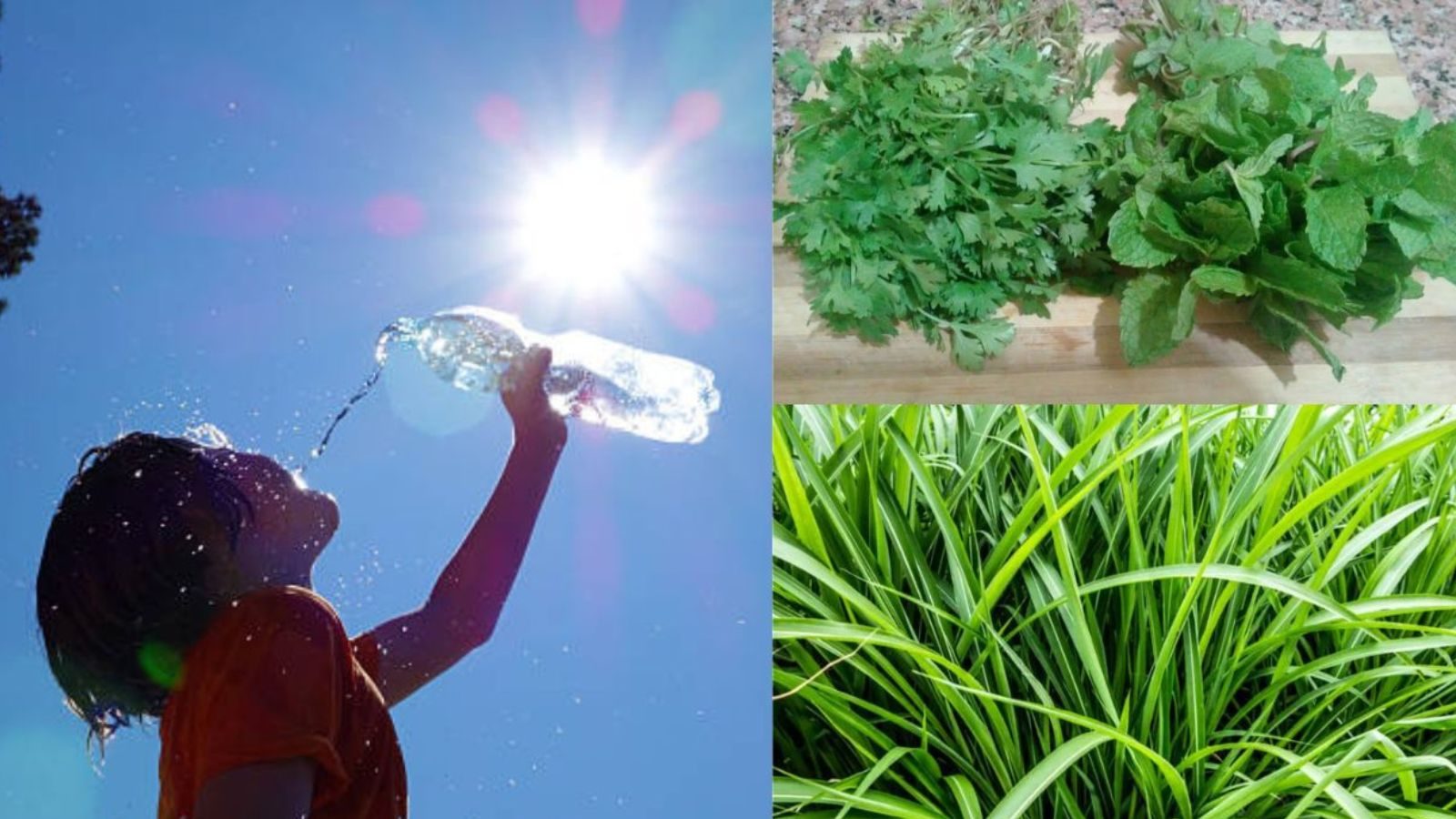  கோடைக்காலம் வந்தாச்சு.. உடல் சூட்டைக் குறைக்க இந்த உணவுகளை மறக்காமல் எடுத்துக்கோங்க.!