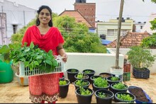 மாடித்தோட்டத்திலிருந்து இப்படி கூட வருமானம் பார்க்கலாமே.. அசத்தும் தென்காசி பட்டதாரி பெண்