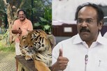 புலி வாலை பிடித்த செல்லூர் ராஜு -  அமைச்சர் பேச்சால் சிரிப்பலை