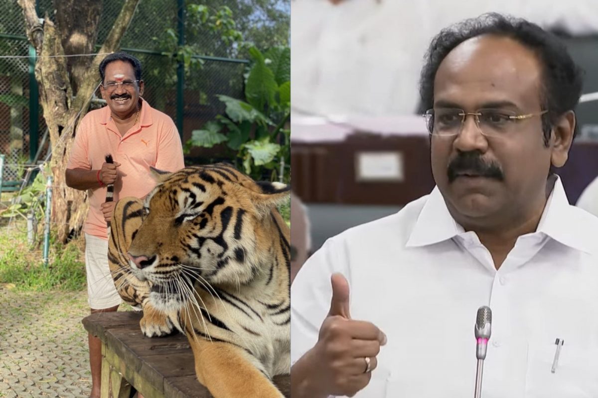 புலி வாலை பிடித்த செல்லூர் ராஜு -  அமைச்சர் பேச்சால் சிரிப்பலை