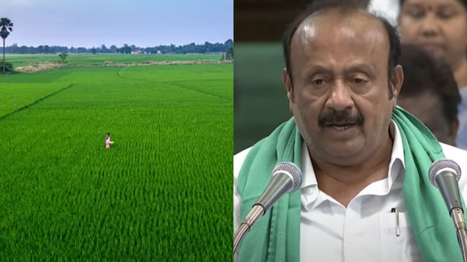 தமிழ்நாட்டில் சாகுபடி பரப்பளவு அதிகரிப்பு... வேளாண் பட்ஜெட்டில் தகவல்..!