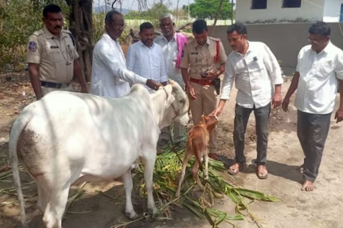 குழந்தைக்காக தினமும் 10 கி.மீ சென்று பால் வாங்கிய தந்தை..!