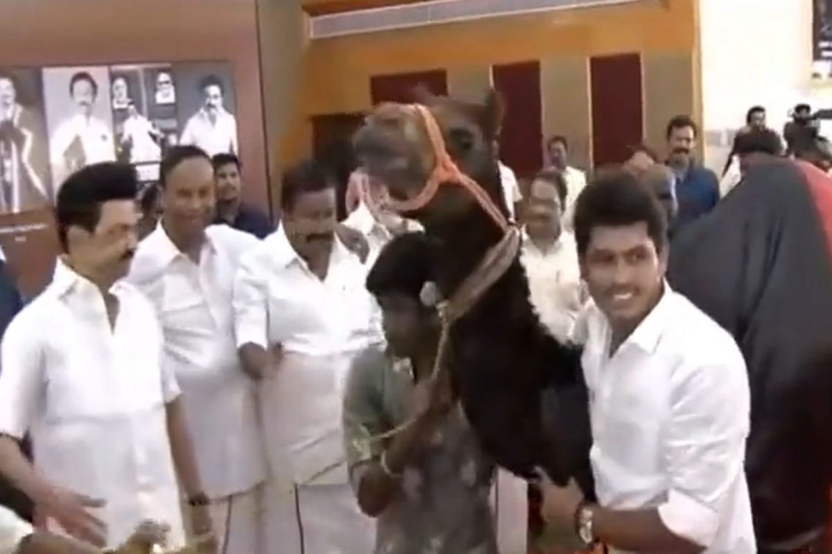 முதலமைச்சர் ஸ்டாலினுக்கு ஒட்டகத்தை பரிசளித்த நிர்வாகி