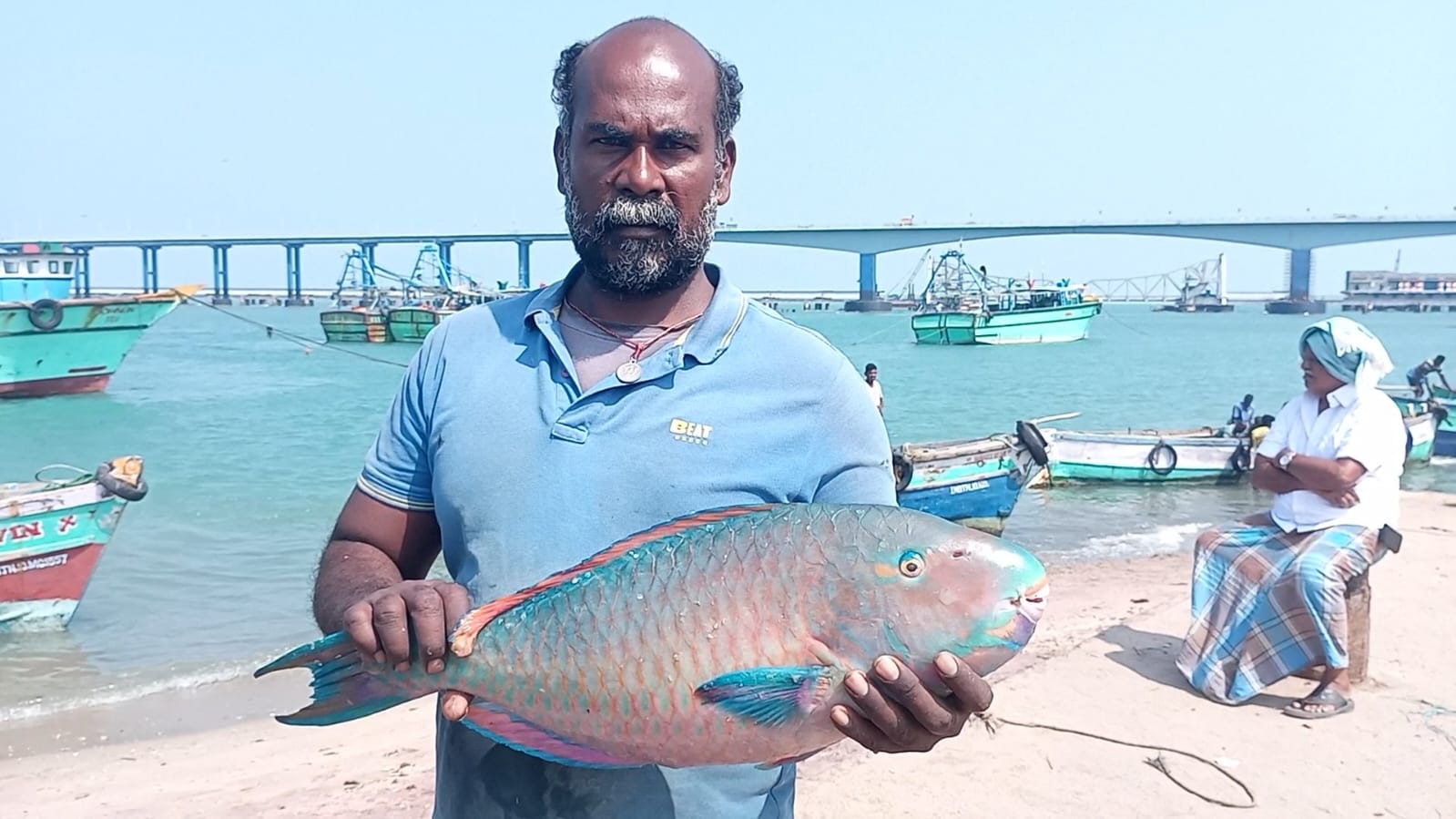  ராமநாதபுரம் மாவட்டம் பாம்பன் தெற்கு மீன்பிடி துறைமுகத்தில் இருந்து மீனவர்கள் மன்னார் வளைகுடா கடல் பகுதியில் மீன்பிடிக்க சென்று கரை திரும்பி மீன்களை துறைமுகத்தில் இறக்கி எடைபோட்டு கொண்டிருந்தனர். அப்போது கிளிபோன்று வாய் பகுதியையும், அதன் இறகுகளின் வண்ணத்தை போன்று உடலமைப்பையும், கிளியின் வாளைப்போன்று மீனின் வாளும் ஒருகிளியானது மீனைப்போல இருந்திருந்தால் எப்படி இருக்குமோ அப்படி ஒரு மீன் இருந்தது. இதனை பற்றி மீனவர்களிடம் கேட்கும்போது கிளிமீன் என்று கூறினர்.