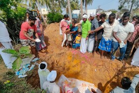 ஜல்லிக்கட்டு காளை உயிரிழப்பு..