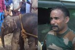 பிரியும் குட்டி யானை... கதறி அழுத வனத்துறை அதிகாரி!