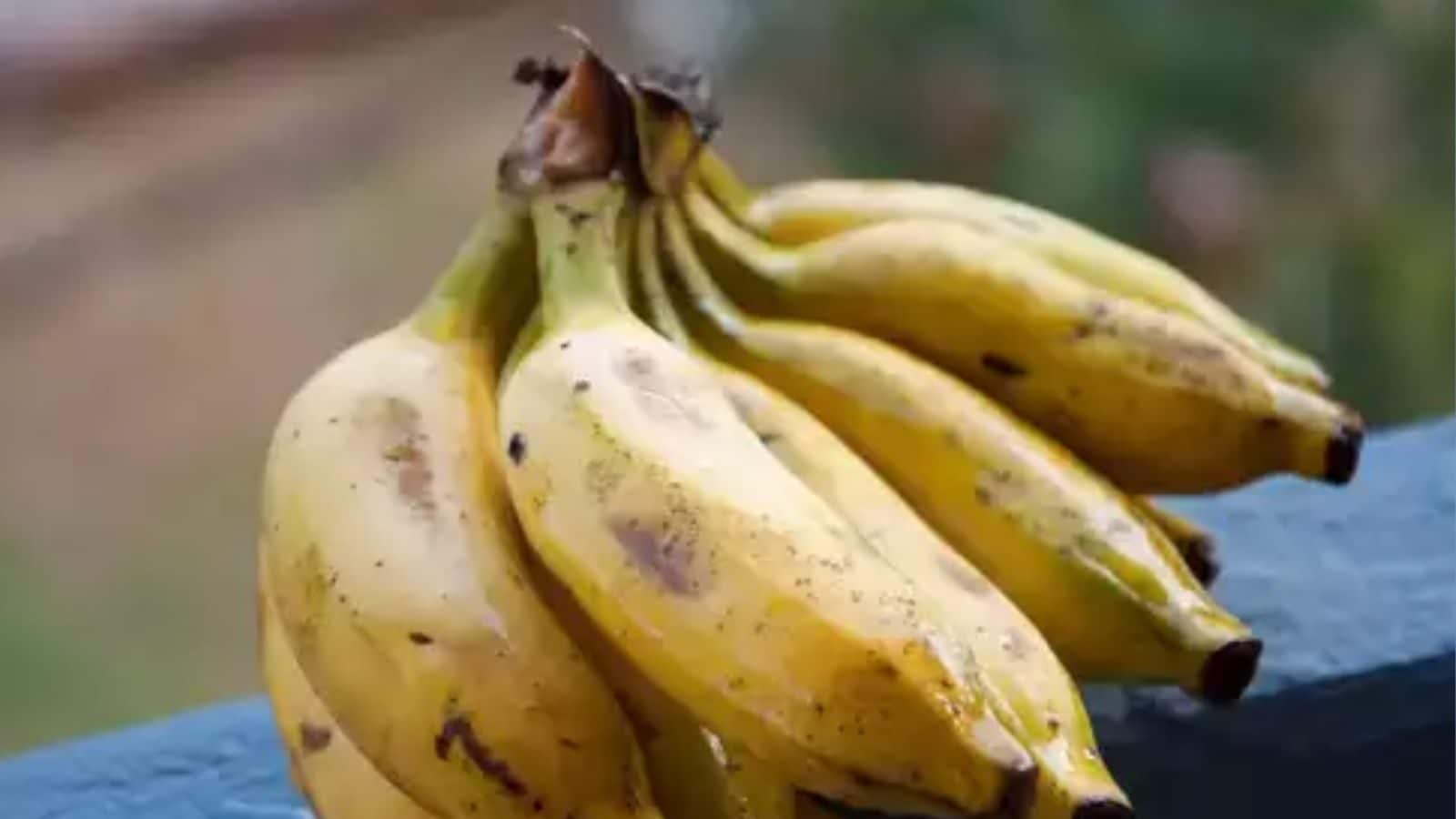 காலையில் வெறும் வயிற்றில் வாழைப்பழம் சாப்பிடக் கூடாதா..? ஊட்டச்சத்து நிபுணர்களின் பதில்..!