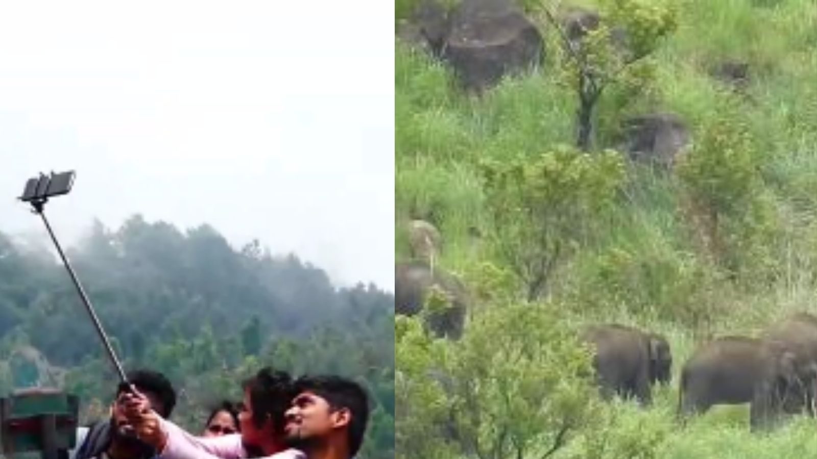 கொடைக்கானல் செல்லும் சுற்றுலா பயணிகளுக்கு குட் நியூஸ்..  பேரிஜம் ஏரிக்கு செல்ல வனத்துறை அனுமதி!