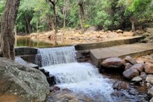 திருநெல்வேலி அருகே கோடை விடுமுறையை கழிக்க சூப்பர் அருவி இருக்கு!
